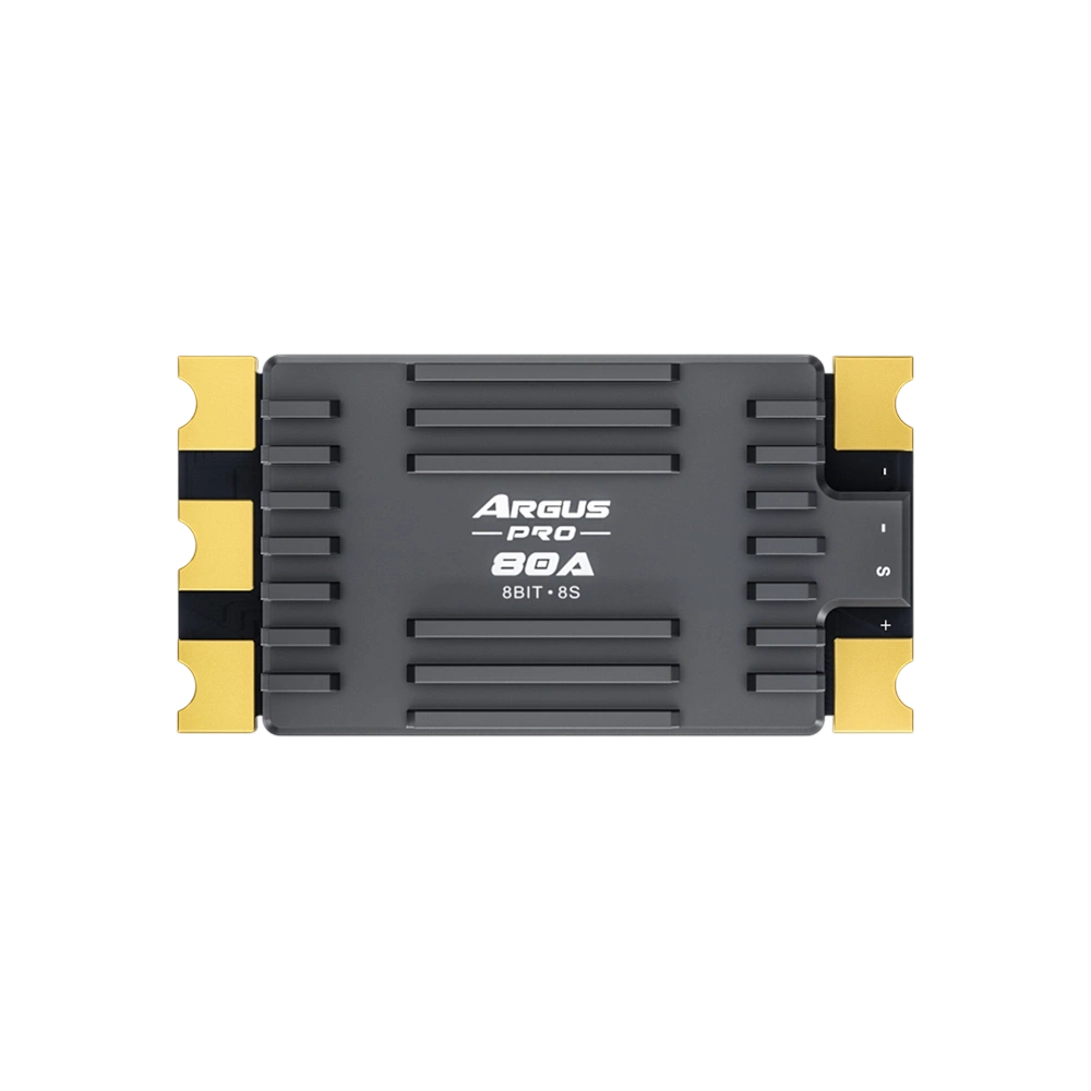 Argus Pro BLE 8S 80A/100A ESC 4-8s