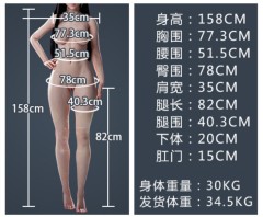 Detailed specifications for the all-silicone model,仿真实体娃娃工厂（马来西亚）产品展示,Detailed specifications for the all-silicone model