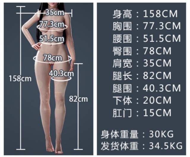 Detailed specifications for the all-silicone model,仿真实体娃娃工厂（马来西亚）产品展示,Detailed specifications for the all-silicone model