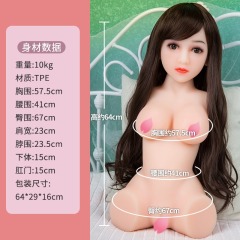 Half-body plus head TPE  RM450,仿真实体娃娃工厂（马来西亚）产品展示,Half-body plus head TPE  RM450