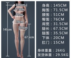 Detailed specifications for the all-silicone model,仿真实体娃娃工厂（马来西亚）产品展示,Detailed specifications for the all-silicone model