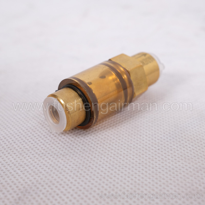 2104100158 Fusheng Genuine Car Air Compressor EBS1/8'' Check Valve 1/8″