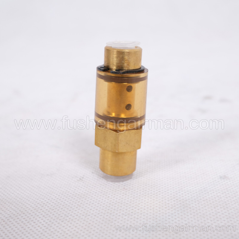 2104100158 Fusheng Genuine Car Air Compressor EBS1/8'' Check Valve 1/8″
