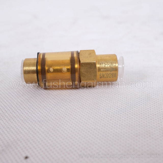 2104100158 Fusheng Genuine Car Air Compressor EBS1/8'' Check Valve 1/8″