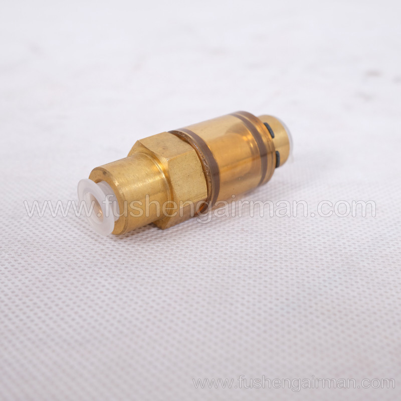 2104100158 Fusheng Genuine Car Air Compressor EBS1/8'' Check Valve 1/8″