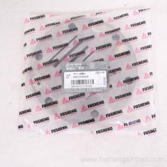 2602310620 Fusheng Genuine Piston Oil-less Air Compressor TW-100, a section of the valve set up
