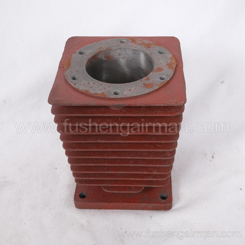 2602021900 Fusheng genuine TW200 oil-free piston compressor two-stage cylinder
