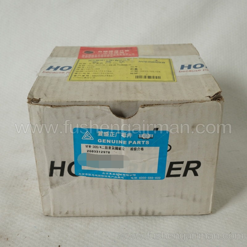 2603312970 Fusheng Genuine VFW300 Medium Pressure Oil-less Air Compressor Two Stage Inlet Valve Set 1875584