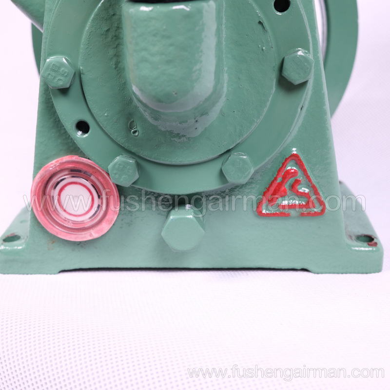 2501003180 Fusheng genuine 0.55kW piston air compressor D01=FG07 air compressor main body