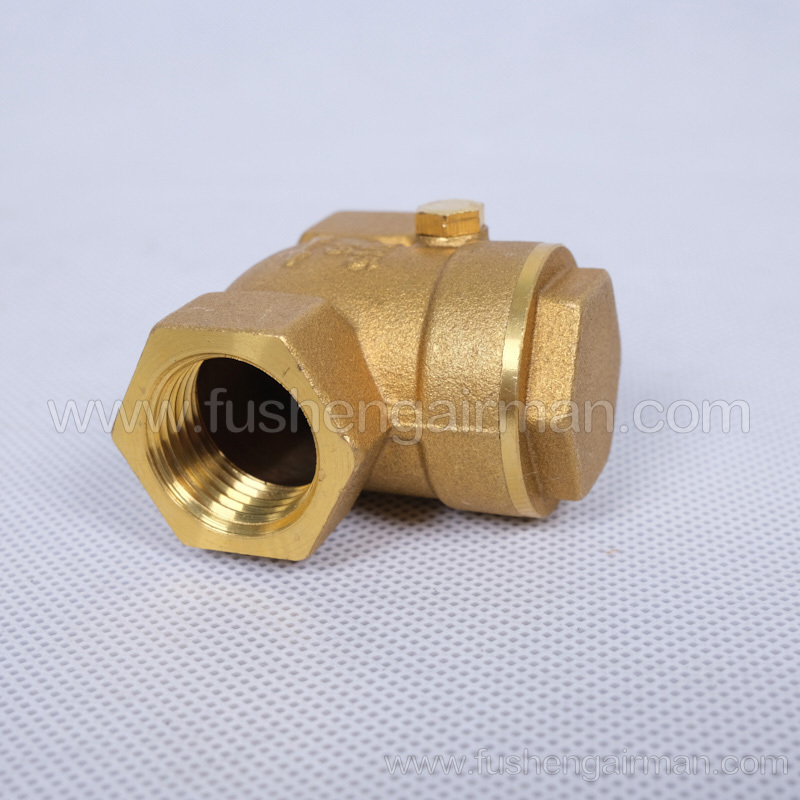 2104100071 Fusheng Oil-less Screw Compressor Accessories 1/2” Check Valve for ZW Series