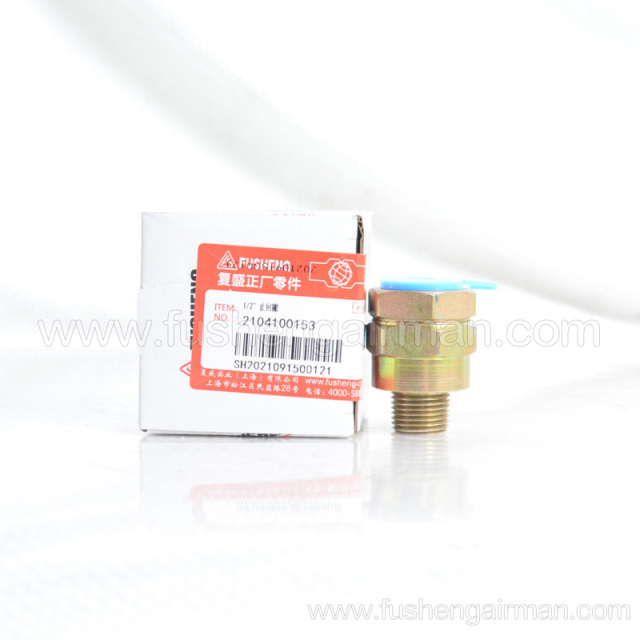 2104100153 Fusheng Genuine 1/2’ Check Valve for Fusheng EBS Truck Air Compressor