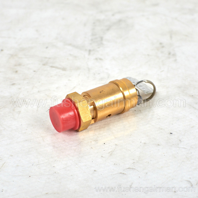 2589350010=9313215-202504-09 Fusheng original screw compressor SF22A safety valve