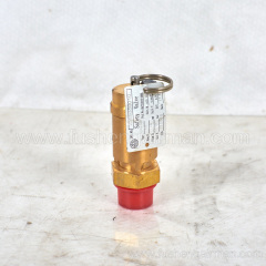 2589350010=9313215-202504-09 Fusheng original screw compressor SF22A safety valve