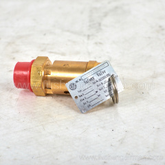 2589350010=9313215-202504-09 Fusheng original screw compressor SF22A safety valve