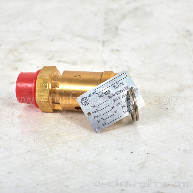2589350010=9313215-202504-09 Fusheng original screw compressor SF22A safety valve