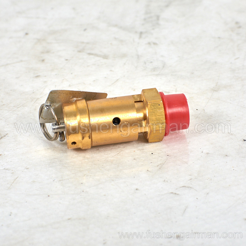 2589350010=9313215-202504-09 Fusheng original screw compressor SF22A safety valve