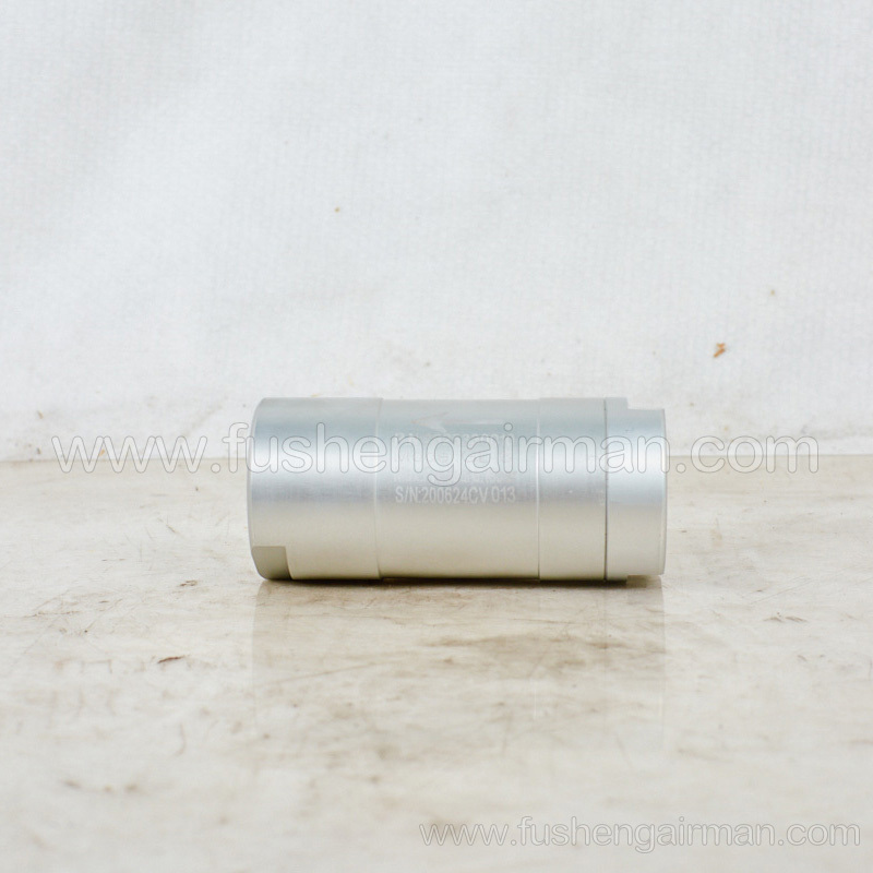 2625330010 Fusheng Screw Compressor Genuine Parts SWV22/37 Check Valve