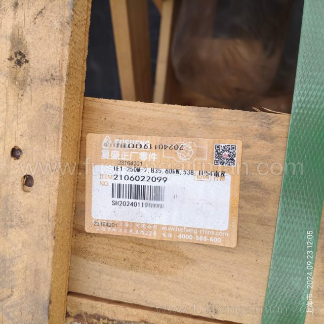 2106022099 Fusheng Original Screw Air Compressor 60kw Motor IE1-250M-2 Wolong Motor