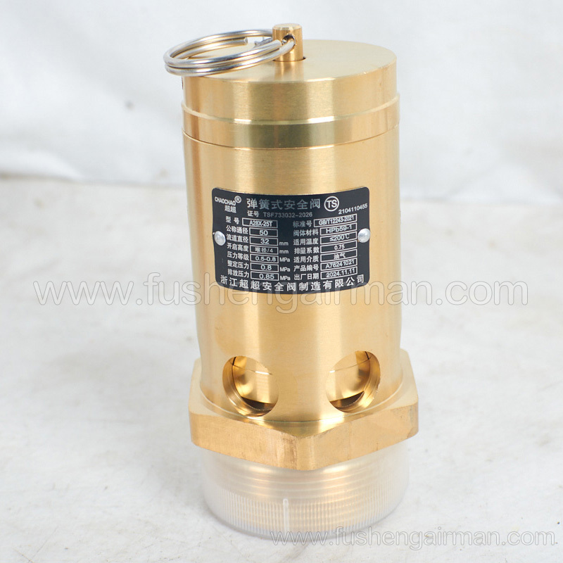 2104110455 Fusheng Original Screw Compressor 2,8barg Spring Loaded Safety Valve A28X-25T