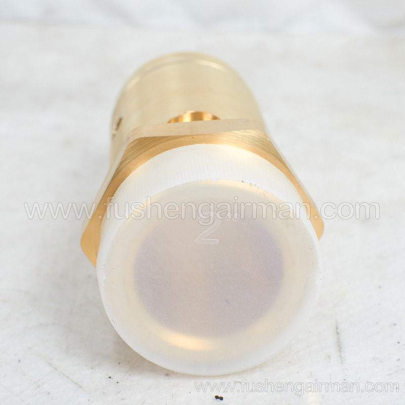 2104110455 Fusheng Original Screw Compressor 2,8barg Spring Loaded Safety Valve A28X-25T