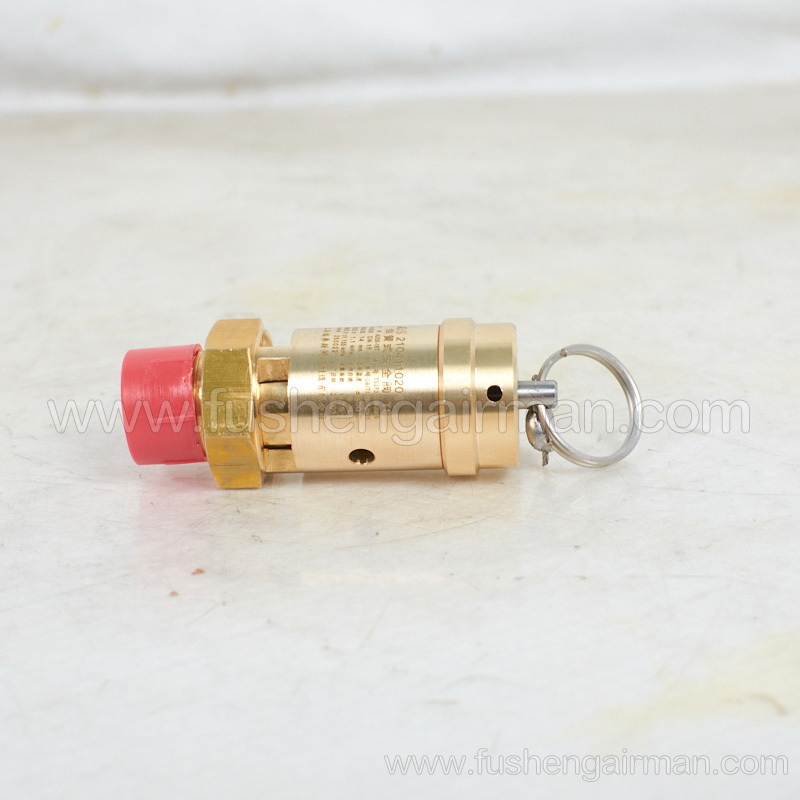 2104110208=9313315-202504-11 Fusheng screw compressor original parts safety valve