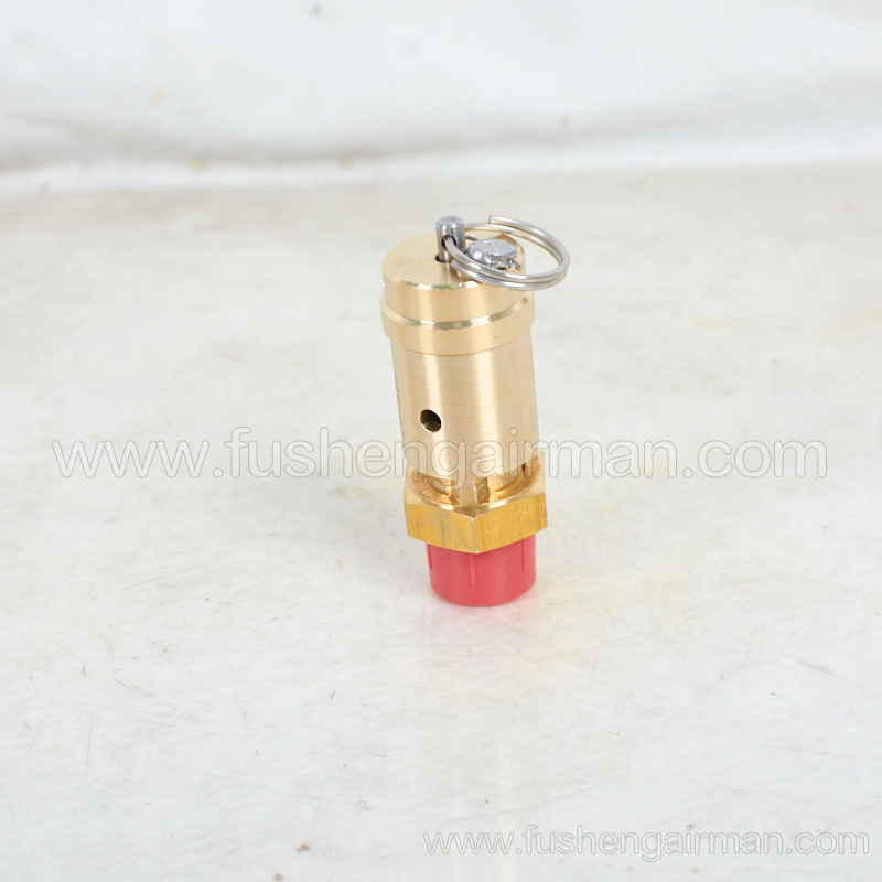 2104110208=9313315-202504-11 Fusheng screw compressor original parts safety valve