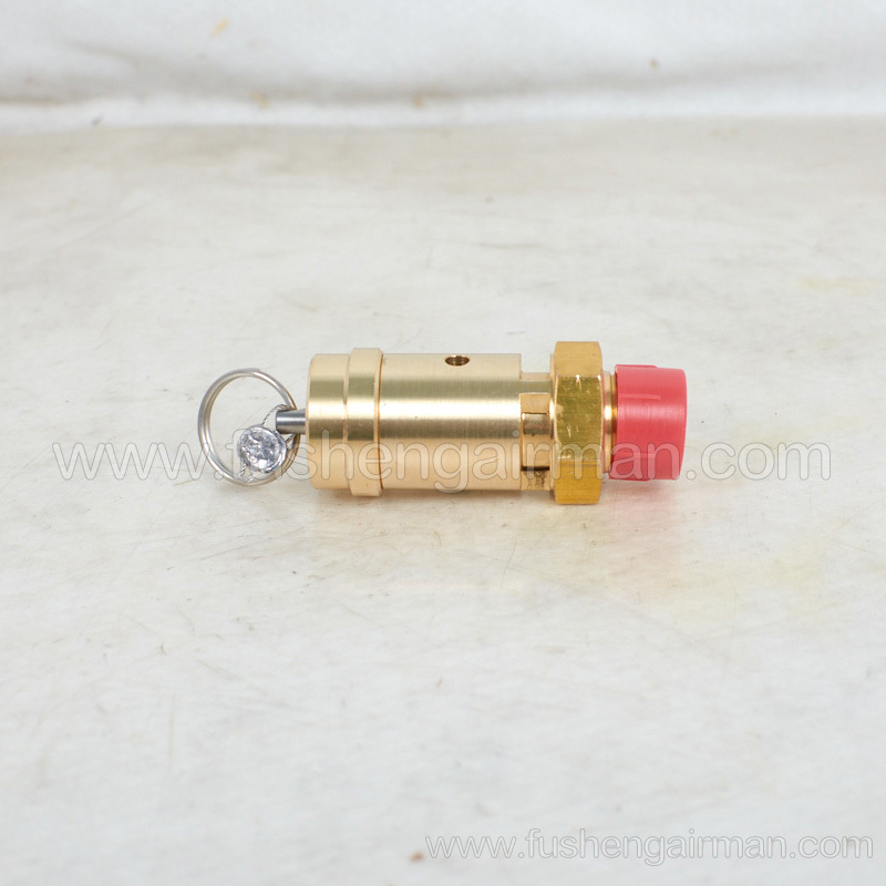 2104110208=9313315-202504-11 Fusheng screw compressor original parts safety valve