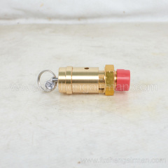 2104110208=9313315-202504-11 Fusheng screw compressor original parts safety valve