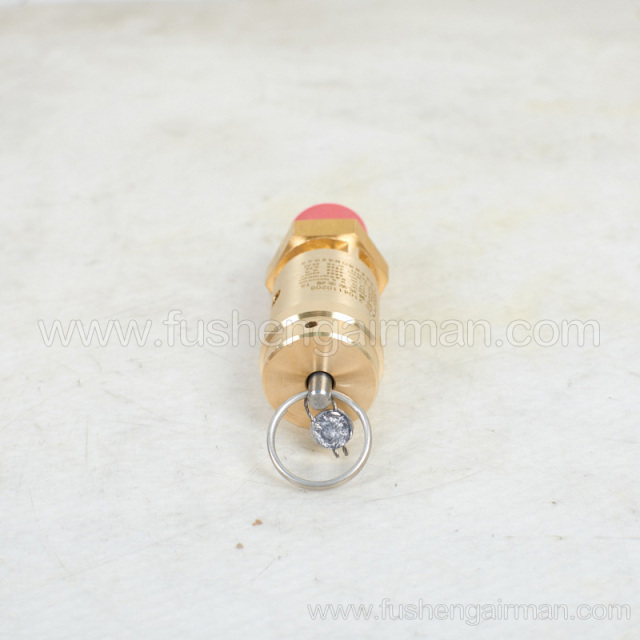 2104110208=9313315-202504-11 Fusheng screw compressor original parts safety valve