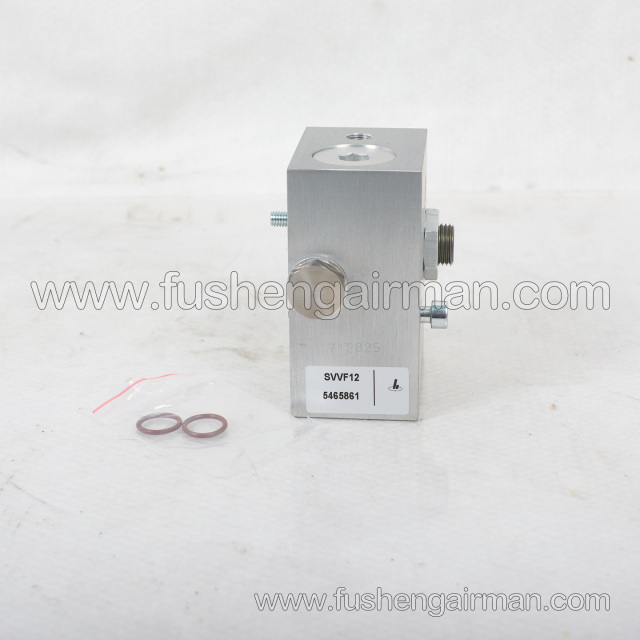 2605731090 Fusheng Screw Air Compressor Original Factory Parts SVVF12 Bleed Valve/5465861