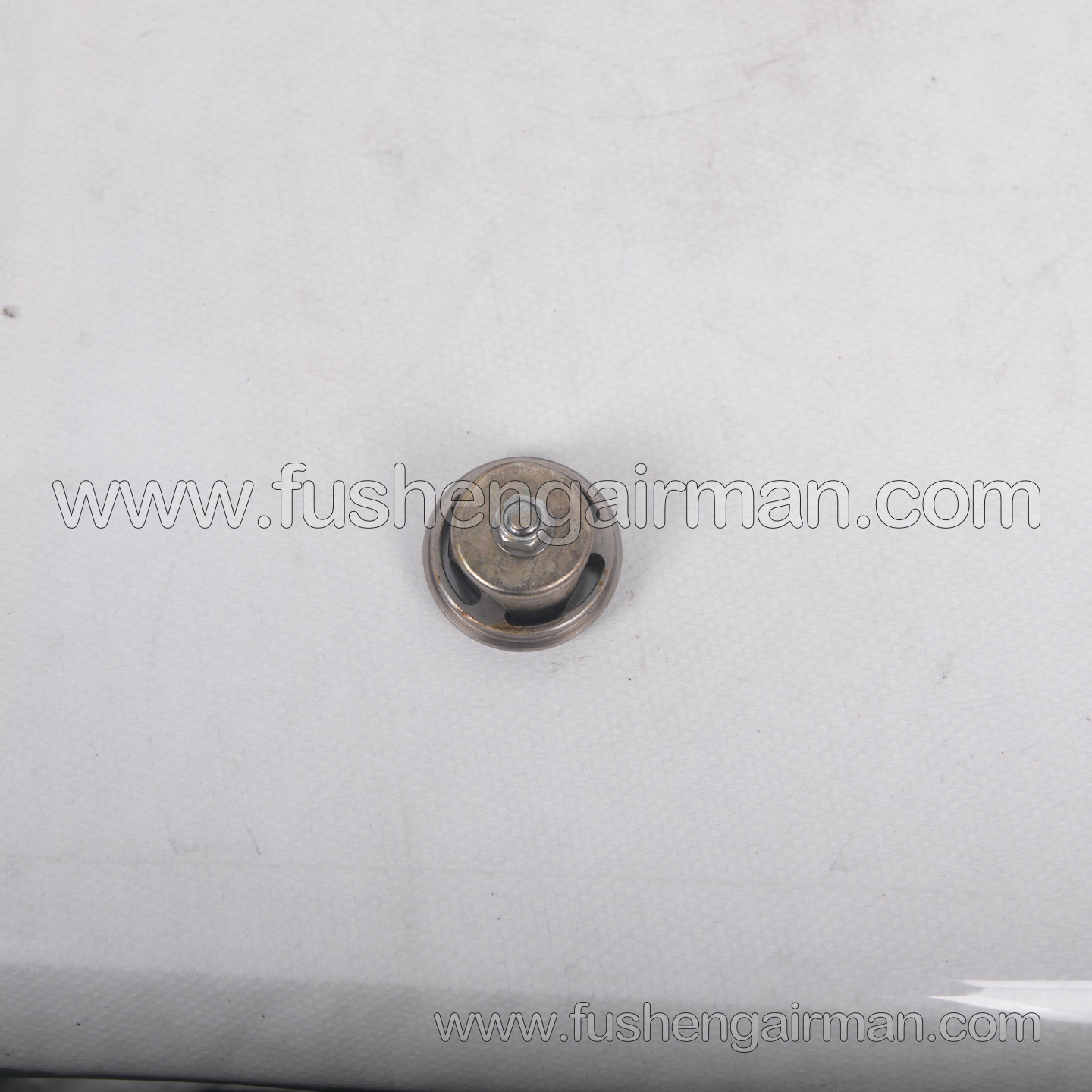 2602310060 Fusheng Oil-Free Piston Air Compressor Genuine Replacement Part VW-30/50 Intake Valve Assembly