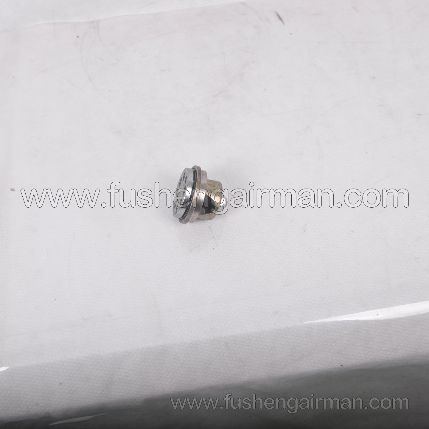 2602310060 Fusheng Oil-Free Piston Air Compressor Genuine Replacement Part VW-30/50 Intake Valve Assembly