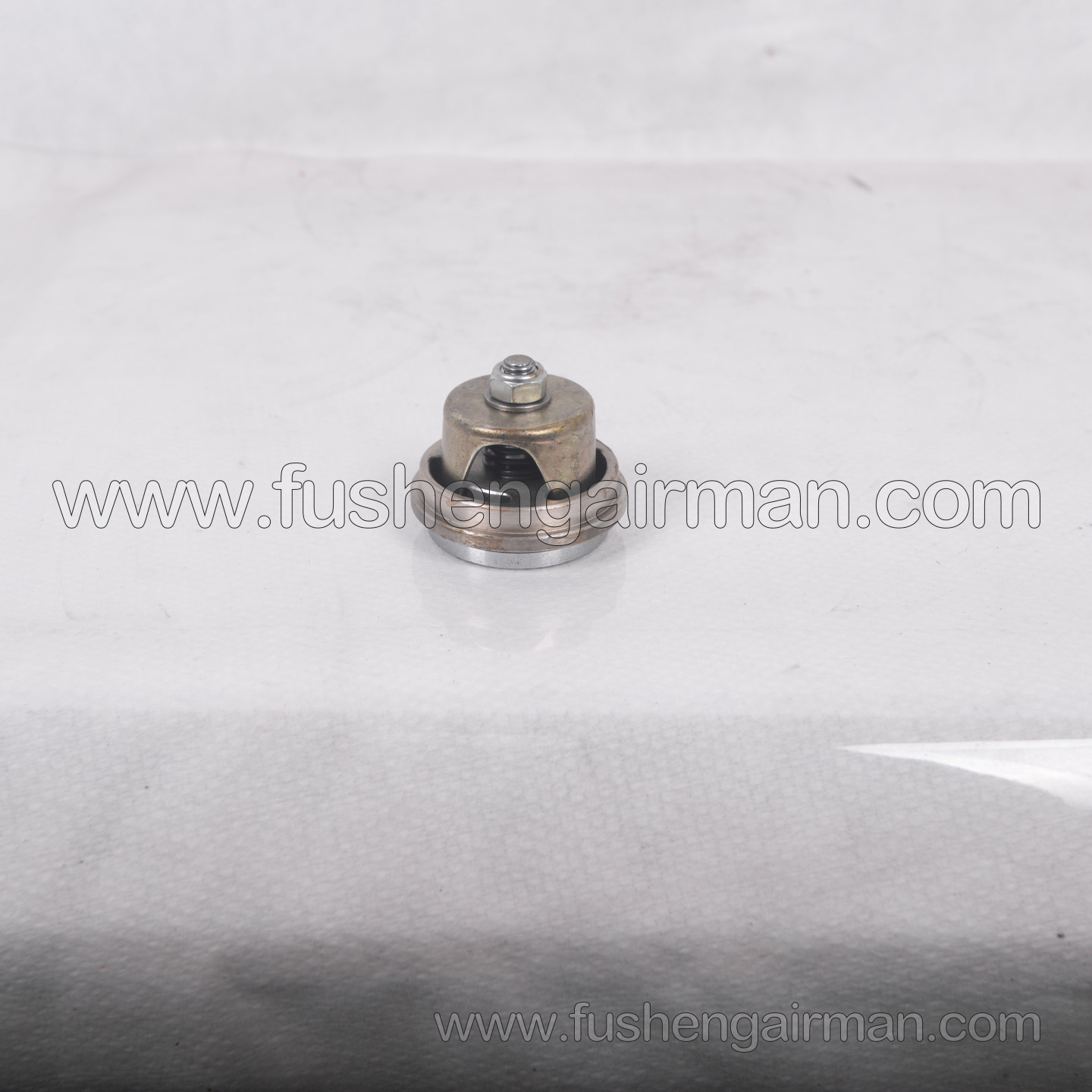 2602310060 Fusheng Oil-Free Piston Air Compressor Genuine Replacement Part VW-30/50 Intake Valve Assembly