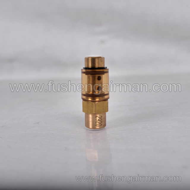 2605332920 Fusheng Screw Air Compressor Genuine Parts 2.0mm Check Valve Transparent New Model One-Way Valve