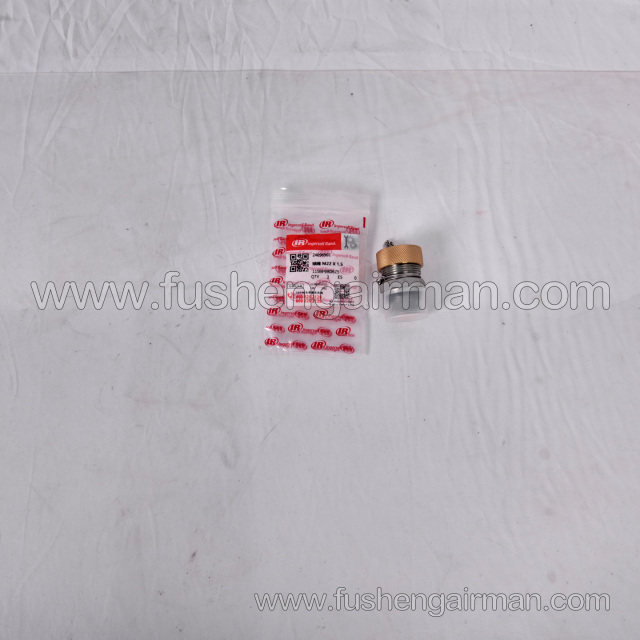24096901 Ingersoll Rand Piston Air Compressor Parts Ball Valve M22X1.5