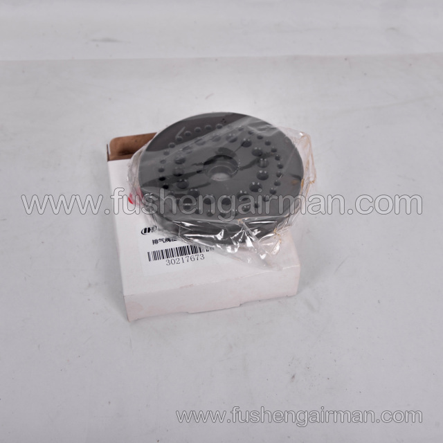 30217673 Ingersoll Rand Piston Air Compressor Parts: First-Stage Exhaust Valve