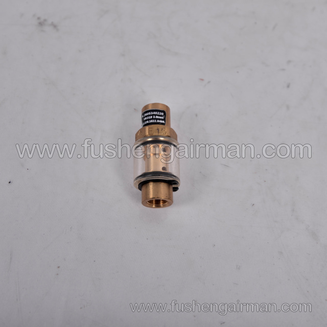 2605340220 Fusheng Screw Air Compressor Original SA250 Visual Check Valve, 3.0 mm Orifice