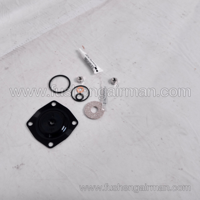38052114 Ingersoll Rand Air Compressor Genuine Parts WCH Regenerator Valve Diaphragm Kit