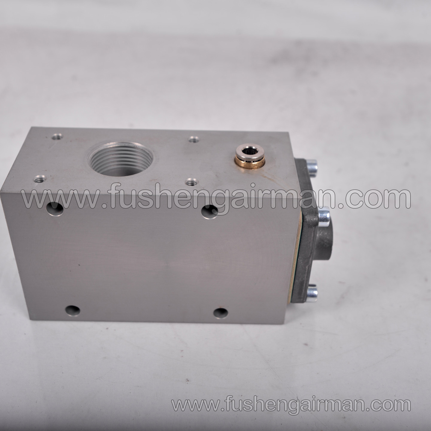 1833669 HOERBIGER Breather Valve Relief Block VVF18 for Air Compressor Intake Valves
