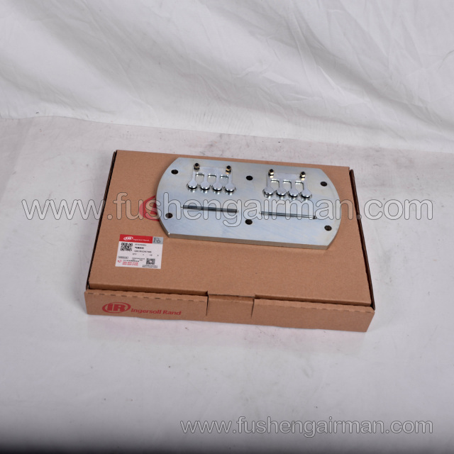 97335061 Ingersoll Rand Genuine S100 Valve Plate Air Valve Assembly for SS5 Piston Air Compressors