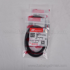 95228763 Ingersoll Rand Air Compressor Parts O-Ring 275 10.5ID*125W THRS200-250