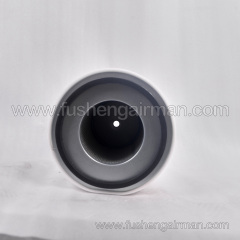 2622540160=P833898  Fusheng Oil-Free Air Compressor Genuine SWT75WI Intake Filter