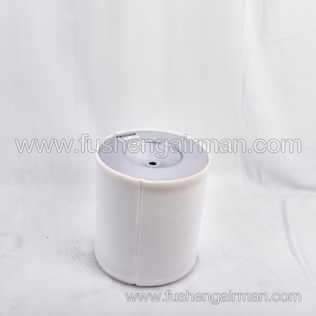 2622540160=P833898  Fusheng Oil-Free Air Compressor Genuine SWT75WI Intake Filter
