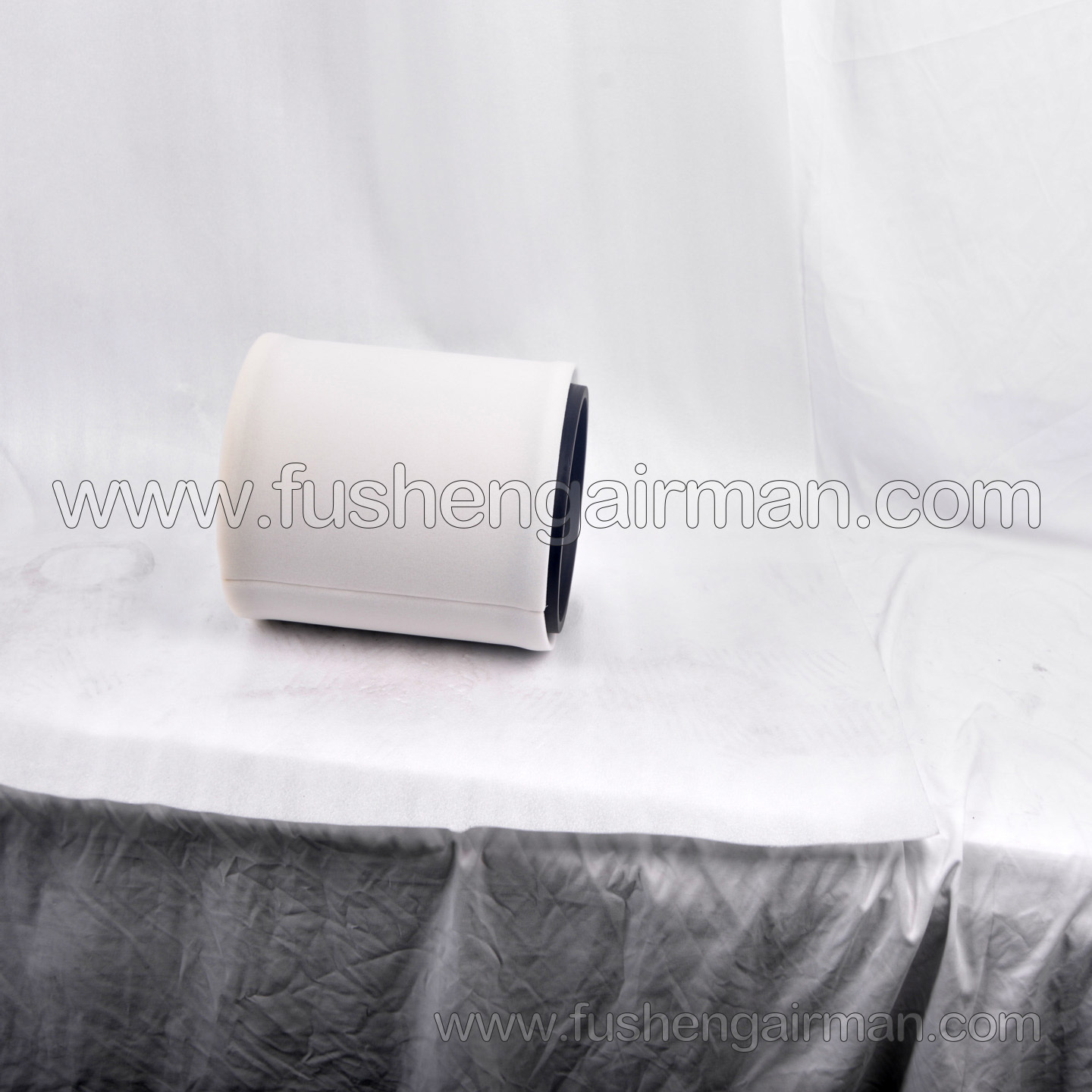 2622540160=P833898  Fusheng Oil-Free Air Compressor Genuine SWT75WI Intake Filter