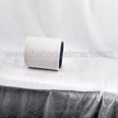 2622540160=P833898  Fusheng Oil-Free Air Compressor Genuine SWT75WI Intake Filter