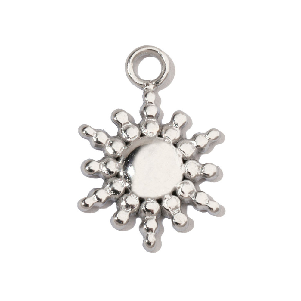 6pcs/pack Shell Bee Stainless Steel Diy Charms Women Star Clover Seahorse Earring Necklace Making Dog Paw Fox Pendant Wholesale