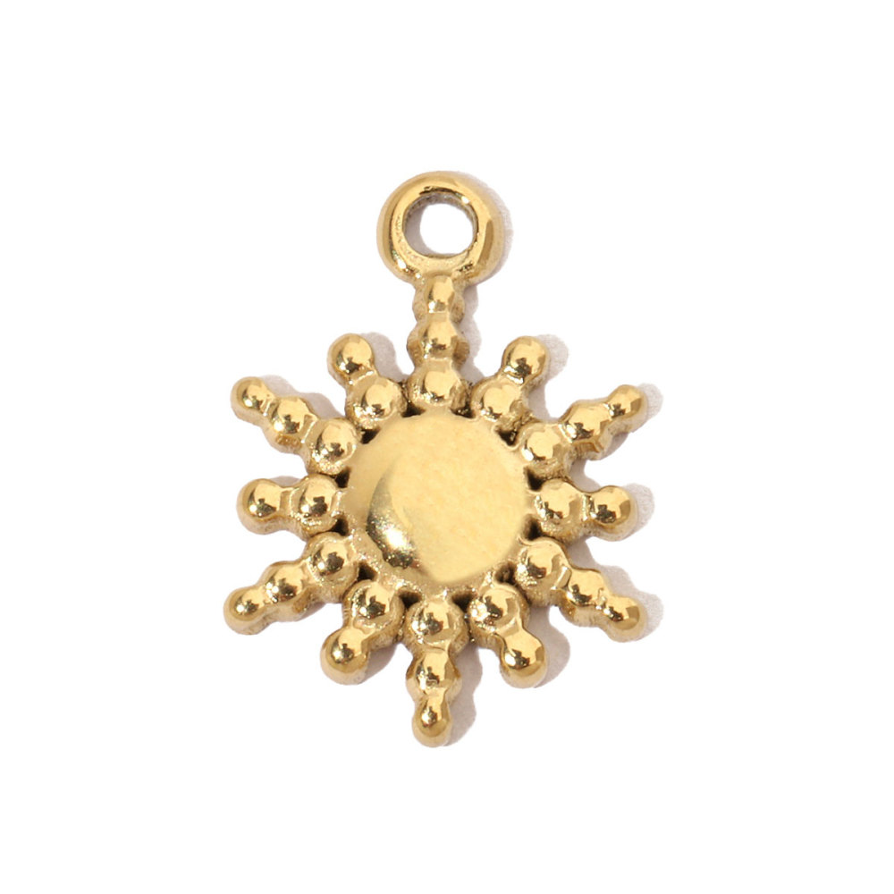 6pcs/pack Spider Bee Stainless Steel Diy Charms Women Star Clover Seahorse Earring Necklace Making Dog Paw Sun Pendant