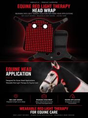 Equine Red Light Therapy Head Wrap Manufacturer | AIMEKO Wearable Horse Head Care Solution
