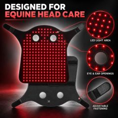 Equine Red Light Therapy Head Wrap Manufacturer | AIMEKO Wearable Horse Head Care Solution