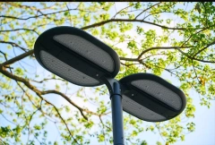 GT-TYD2119-W,MY SHOP,Double Head Outdoor Yard Light